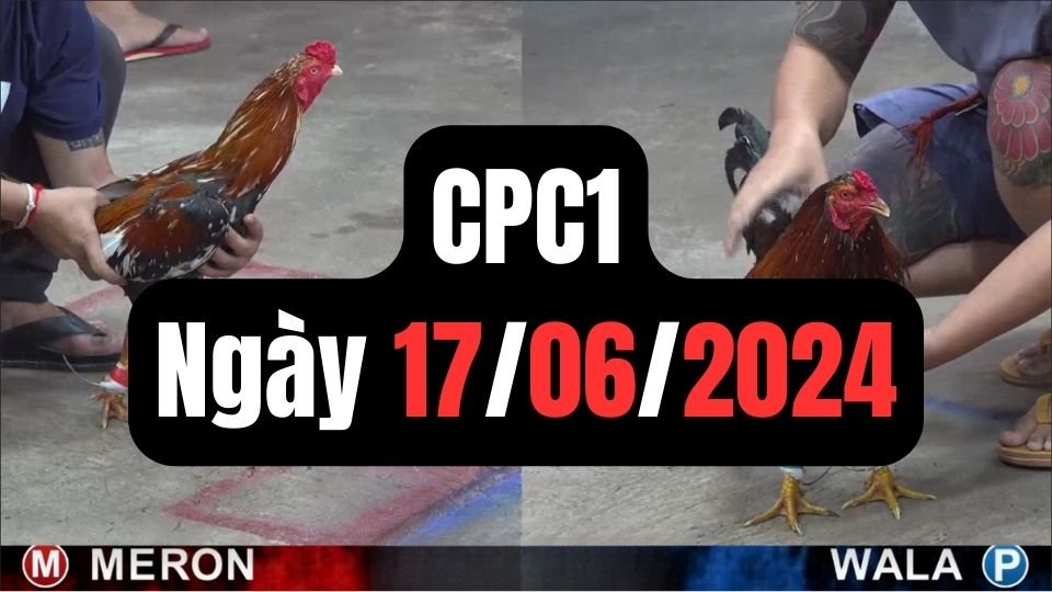 Đá gà thomo CPC1 ngày 17/06/2024