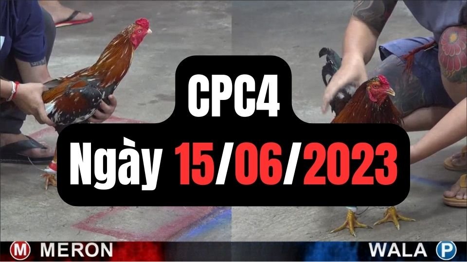 Đá gà thomo CPC4 ngày 15/06/2024