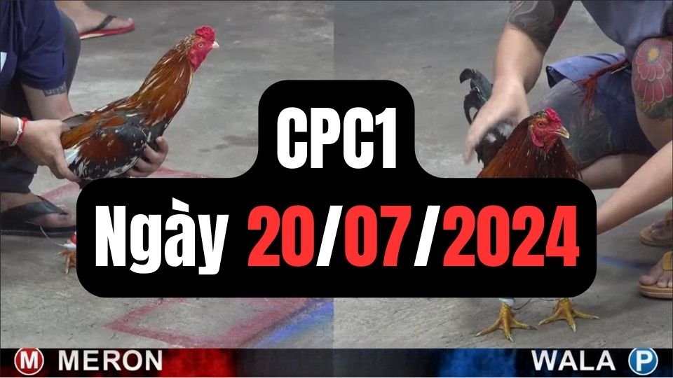 Đá gà thomo CPC1 ngày 20/07/2024