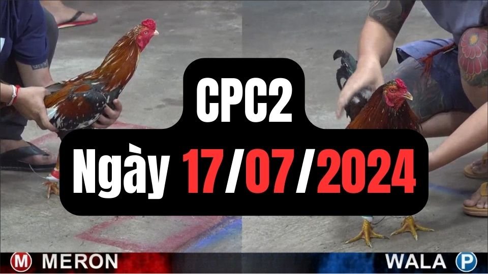 Đá gà thomo CPC2 ngày 17/07/2024