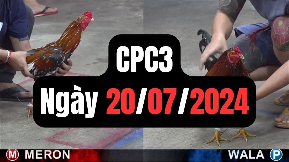 Đá gà thomo CPC3 ngày 20/07/2024