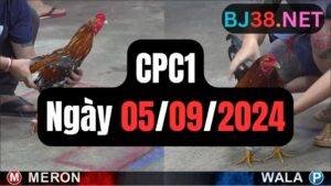 Đá gà thomo CPC1 ngày 05/09/2024