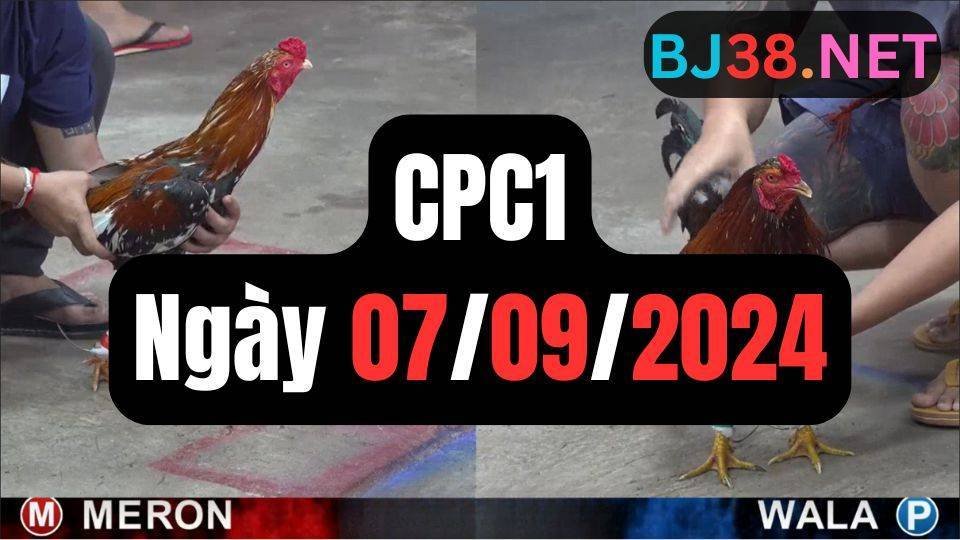 Đá gà thomo CPC1 ngày 07/09/2024