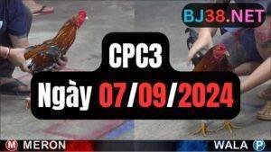 Đá gà thomo CPC3 ngày 07/09/2024