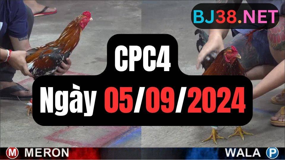 Đá gà thomo CPC4 ngày 05/09/2024