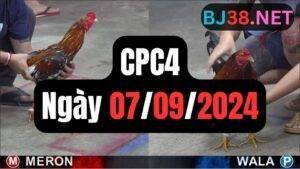 Đá gà thomo CPC4 ngày 07/09/2024